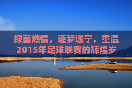 绿茵燃情,逐梦遂宁,重温2015年足球联赛的辉煌岁月