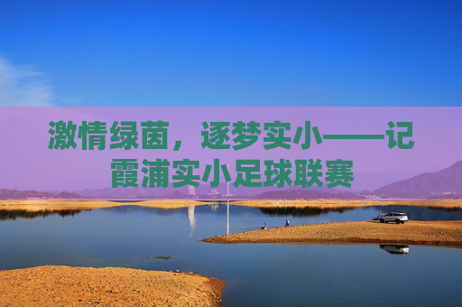 激情绿茵，逐梦实小——记霞浦实小足球联赛