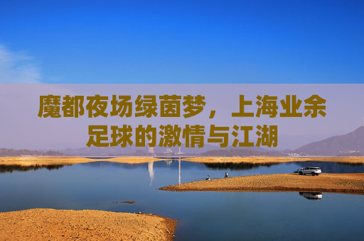 魔都夜场绿茵梦,上海业余足球的激情与江湖