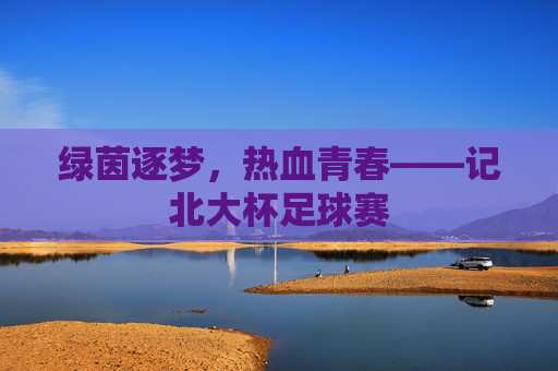 绿茵逐梦,热血青春——记北大杯足球赛