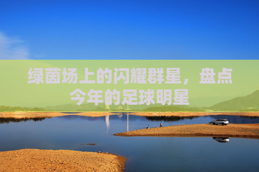 绿茵场上的闪耀群星,盘点今年的足球明星