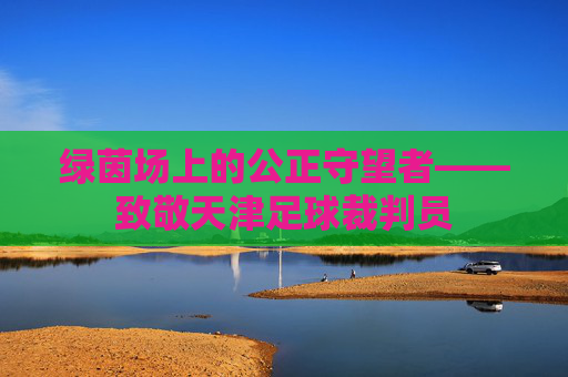 绿茵场上的公正守望者——致敬天津足球裁判员
