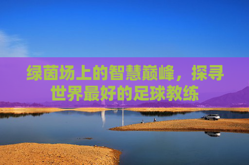绿茵场上的智慧巅峰,探寻世界最好的足球教练