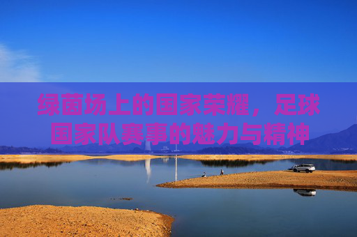绿茵场上的国家荣耀,足球国家队赛事的魅力与精神