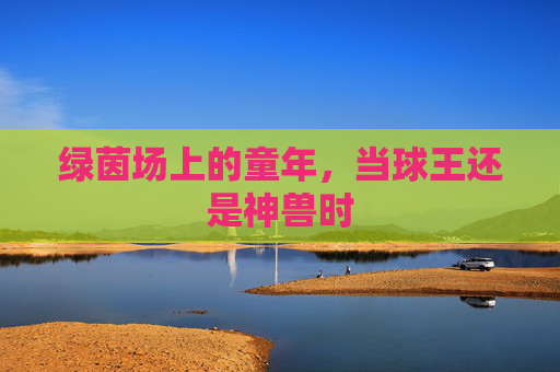 绿茵场上的童年,当球王还是神兽时
