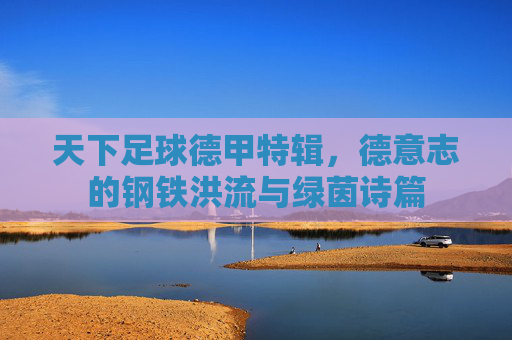 天下足球德甲特辑,德意志的钢铁洪流与绿茵诗篇