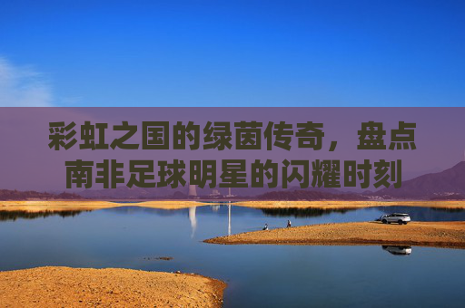 彩虹之国的绿茵传奇，盘点南非足球明星的闪耀时刻