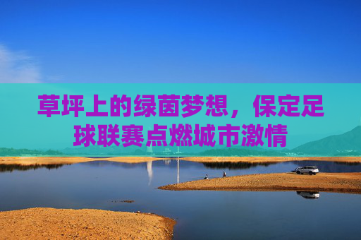 草坪上的绿茵梦想,保定足球联赛点燃城市激情