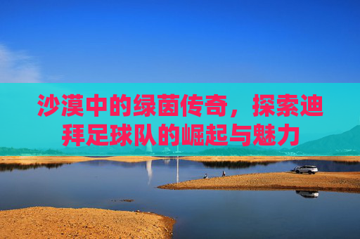 沙漠中的绿茵传奇,探索迪拜足球队的崛起与魅力