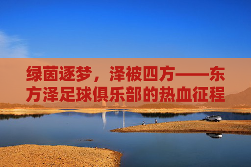 绿茵逐梦,泽被四方——东方泽足球俱乐部的热血征程