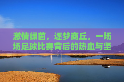 激情绿茵，逐梦商丘，一场场足球比赛背后的热血与坚守