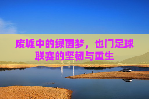 废墟中的绿茵梦,也门足球联赛的坚韧与重生