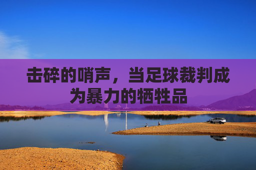 击碎的哨声,当足球裁判成为暴力的牺牲品