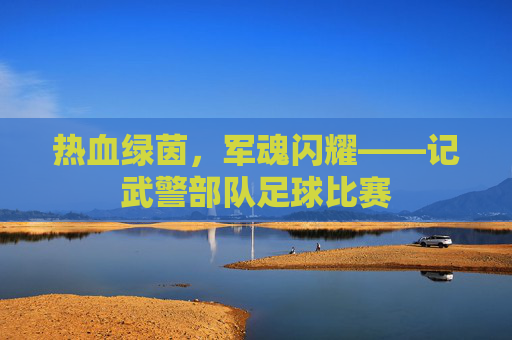 热血绿茵，军魂闪耀——记武警部队足球比赛