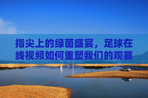 指尖上的绿茵盛宴,足球在线视频如何重塑我们的观赛体验