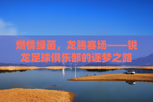 燃情绿茵,龙腾赛场——锐龙足球俱乐部的逐梦之路