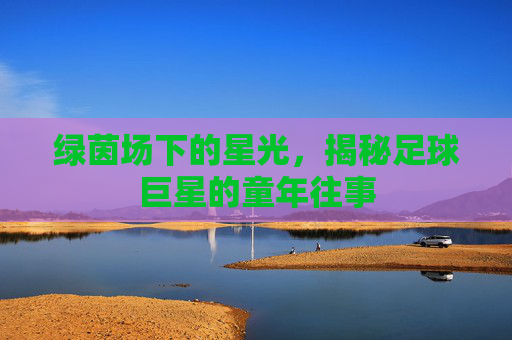 绿茵场下的星光,揭秘足球巨星的童年往事