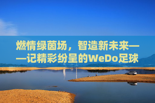 燃情绿茵场,智造新未来——记精彩纷呈的WeDo足球赛