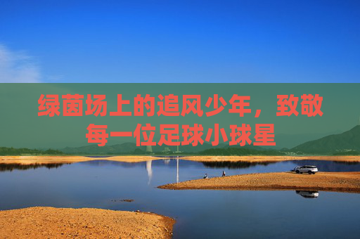 绿茵场上的追风少年,致敬每一位足球小球星