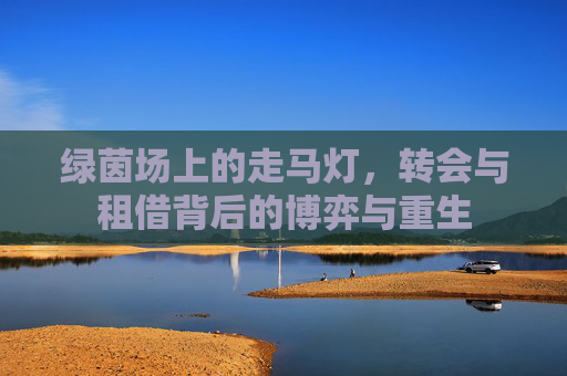 绿茵场上的走马灯,转会与租借背后的博弈与重生
