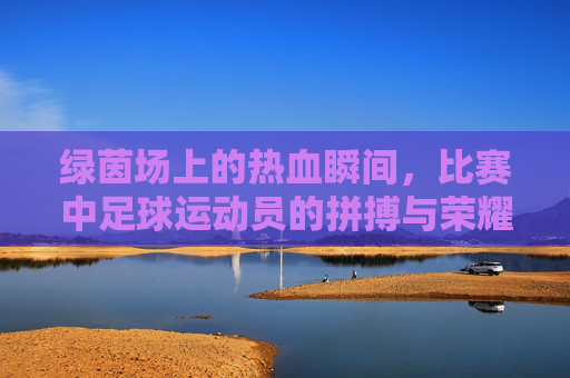 绿茵场上的热血瞬间,比赛中足球运动员的拼搏与荣耀