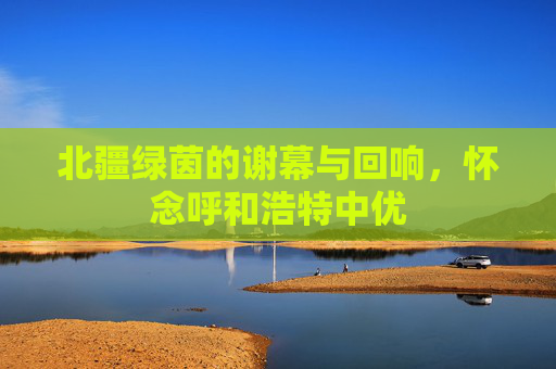 北疆绿茵的谢幕与回响,怀念呼和浩特中优