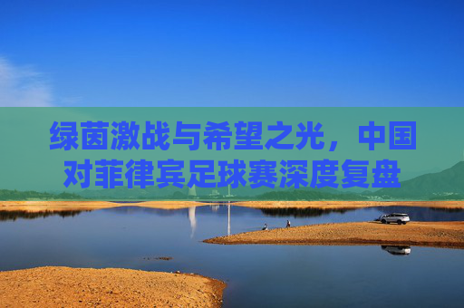 绿茵激战与希望之光,中国对菲律宾足球赛深度复盘