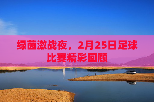 绿茵激战夜,2月25日足球比赛精彩回顾