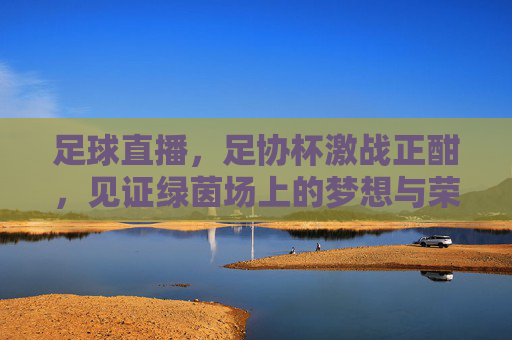 足球直播,足协杯激战正酣,见证绿茵场上的梦想与荣耀