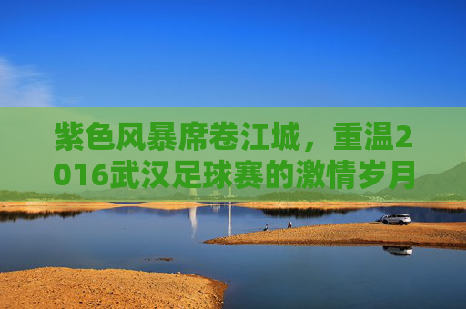 紫色风暴席卷江城,重温2016武汉足球赛的激情岁月
