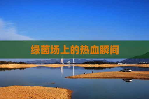 绿茵场上的热血瞬间