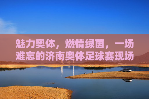 魅力奥体,燃情绿茵,一场难忘的济南奥体足球赛现场直击