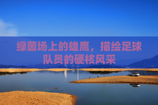 绿茵场上的雄鹰,描绘足球队员的硬核风采