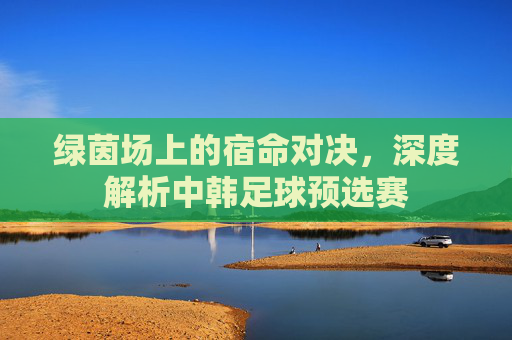 绿茵场上的宿命对决,深度解析中韩足球预选赛