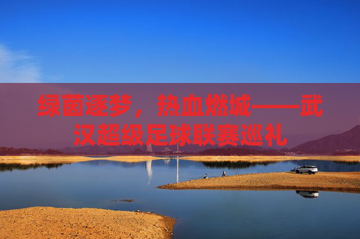 绿茵逐梦,热血燃城——武汉超级足球联赛巡礼