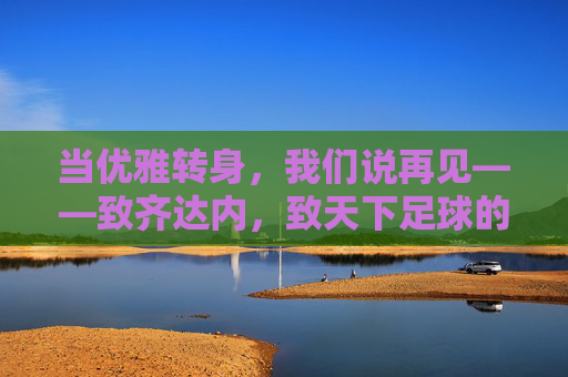 当优雅转身,我们说再见——致齐达内,致天下足球的独家记忆