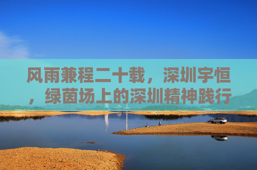 风雨兼程二十载,深圳宇恒,绿茵场上的深圳精神践行者