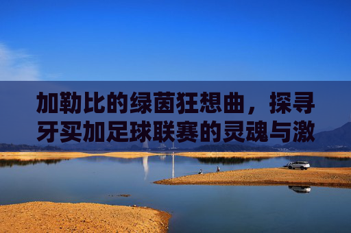 加勒比的绿茵狂想曲,探寻牙买加足球联赛的灵魂与激情
