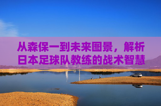 从森保一到未来图景,解析日本足球队教练的战术智慧与进化之路