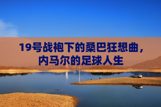 19号战袍下的桑巴狂想曲,内马尔的足球人生