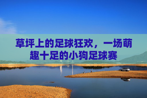 草坪上的足球狂欢,一场萌趣十足的小狗足球赛