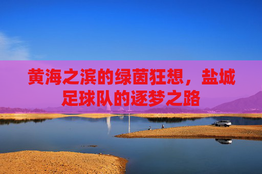 黄海之滨的绿茵狂想,盐城足球队的逐梦之路