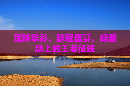 足球华彩,欧冠盛宴,绿茵场上的王者征途