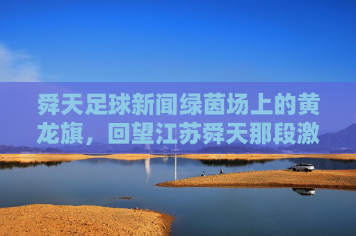 舜天足球新闻绿茵场上的黄龙旗,回望江苏舜天那段激情燃烧的岁月
