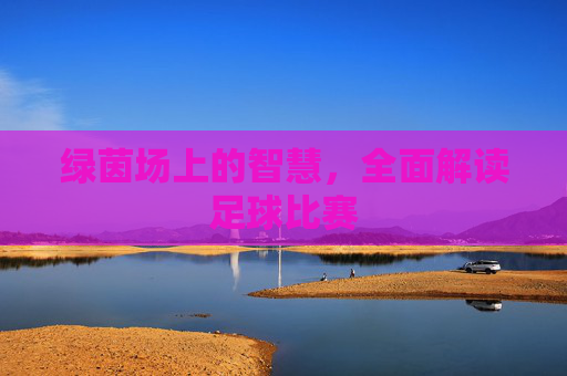 绿茵场上的智慧,全面解读足球比赛