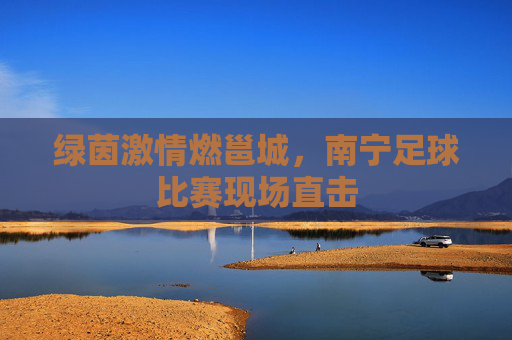 绿茵激情燃邕城,南宁足球比赛现场直击