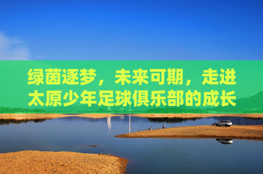 绿茵逐梦,未来可期,走进太原少年足球俱乐部的成长之路
