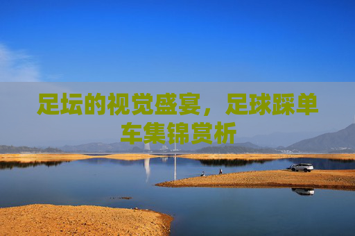 足坛的视觉盛宴,足球踩单车集锦赏析