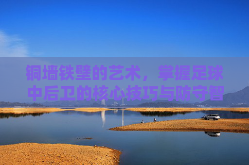 铜墙铁壁的艺术,掌握足球中后卫的核心技巧与防守智慧