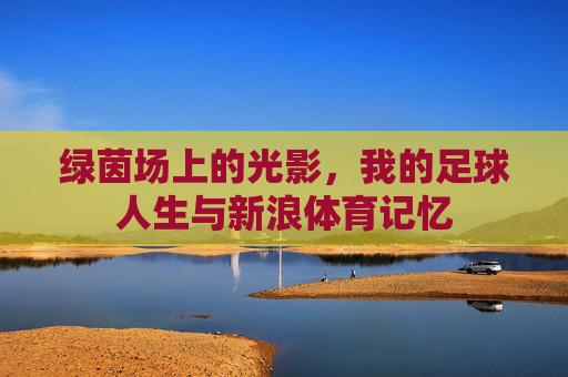 绿茵场上的光影,我的足球人生与新浪体育记忆